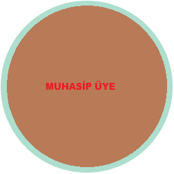 Muhasip Üye